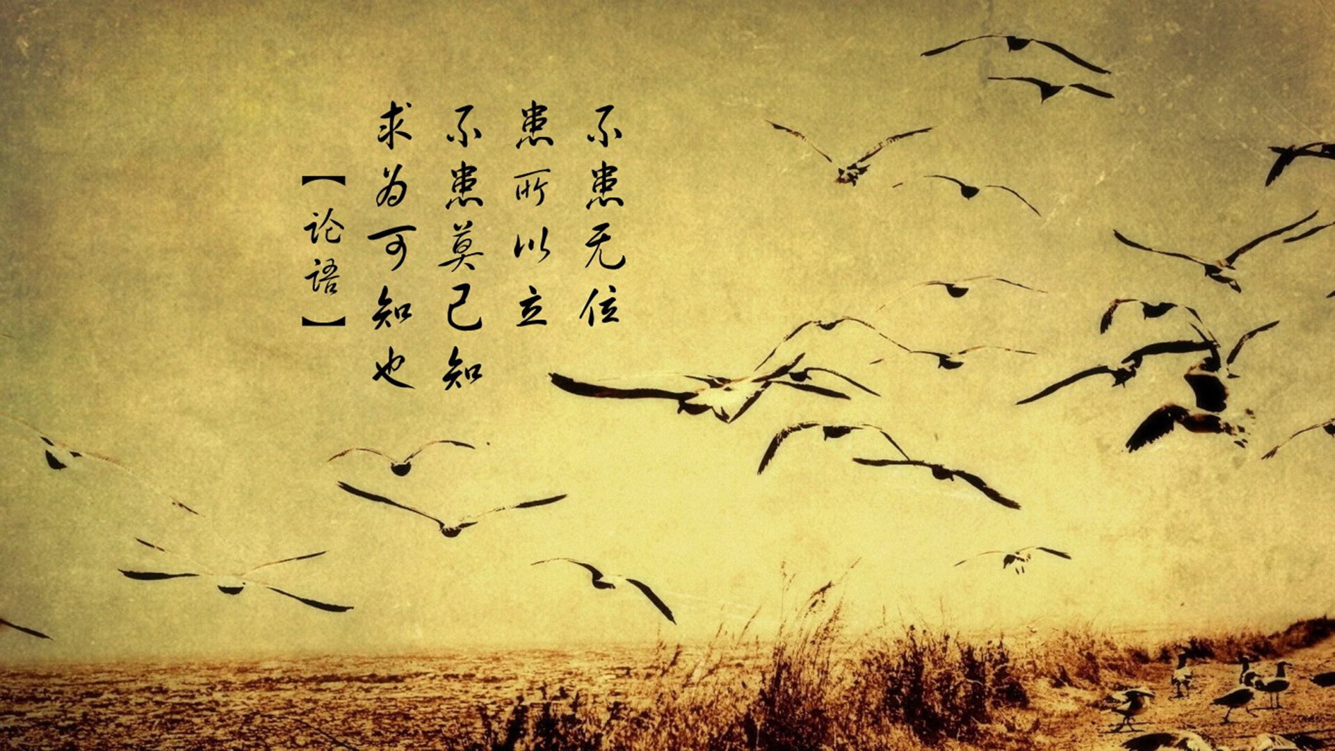 篮球专项体能训练周期化设计方法与实践，篮球体能训练周计划