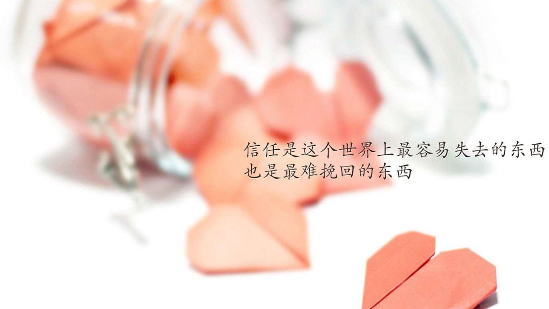 自由搏击教学视频进入教育短视频平台，自由搏击教学app