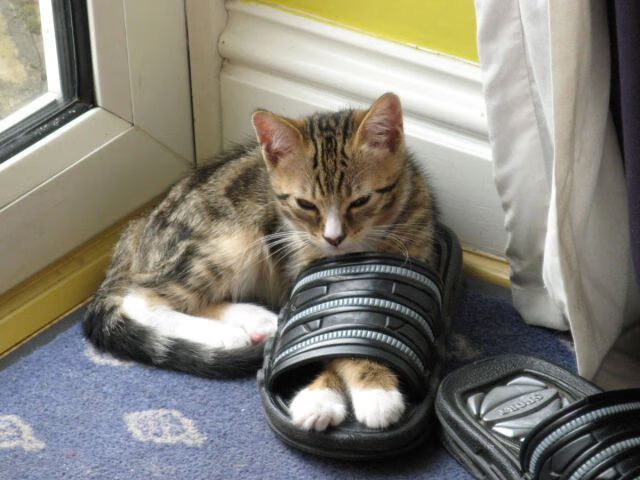 中国足球青训俱乐部联盟成立推动资源共享，中国足球青训营都有哪些