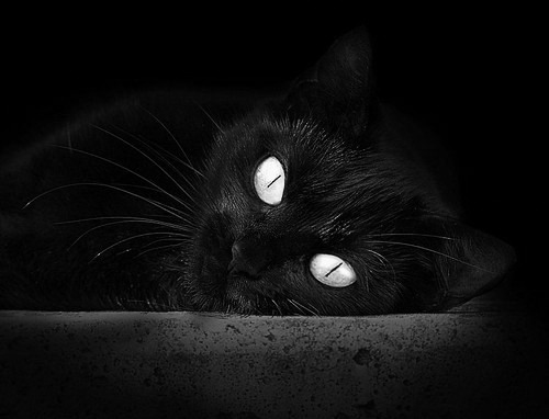 全员参与公益跑步活动彰显体育正能量传递社会关爱温度，跑步公益组织