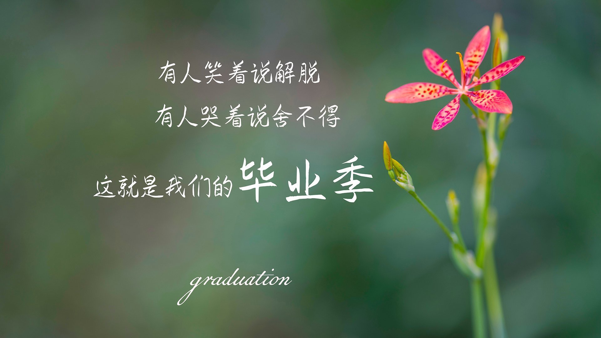 电竞战术分析平台进入高校课堂，电竞 分析