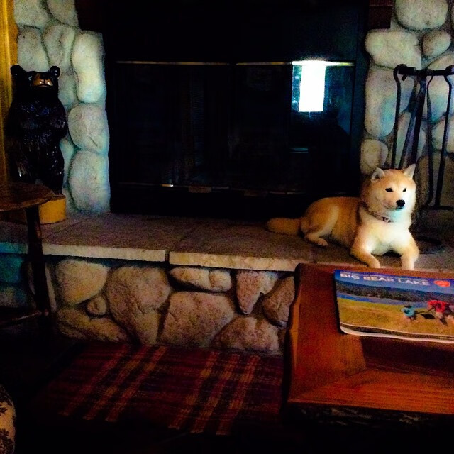 AYX体育官网-羽毛球教练研讨会聚焦选材与培训体系,羽毛球比赛教练