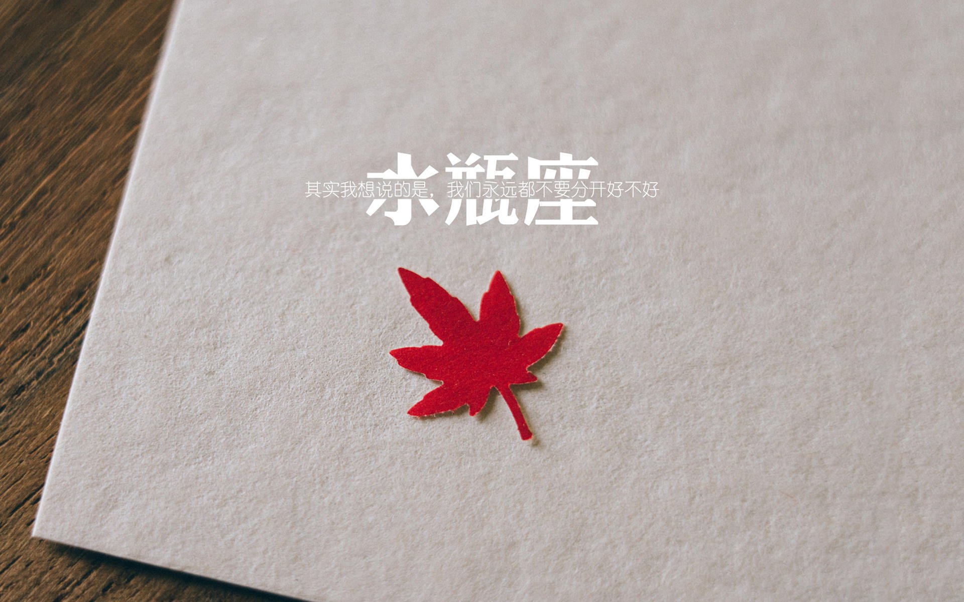 羽毛球教练研讨会聚焦选材与培训体系，羽毛球比赛教练