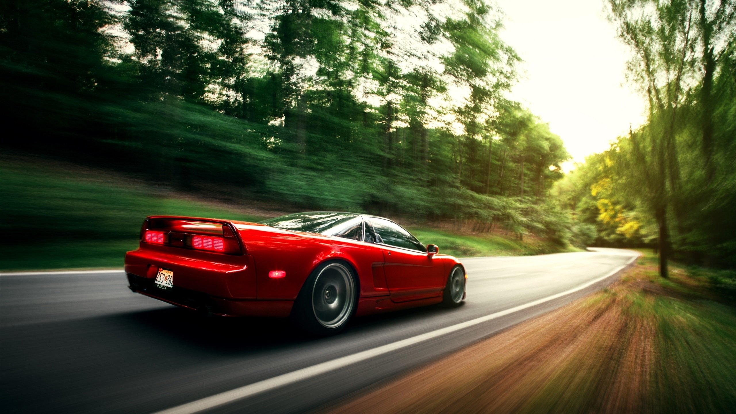 自由泳冲刺瑞士保持领先节奏，自由泳世界比赛视频