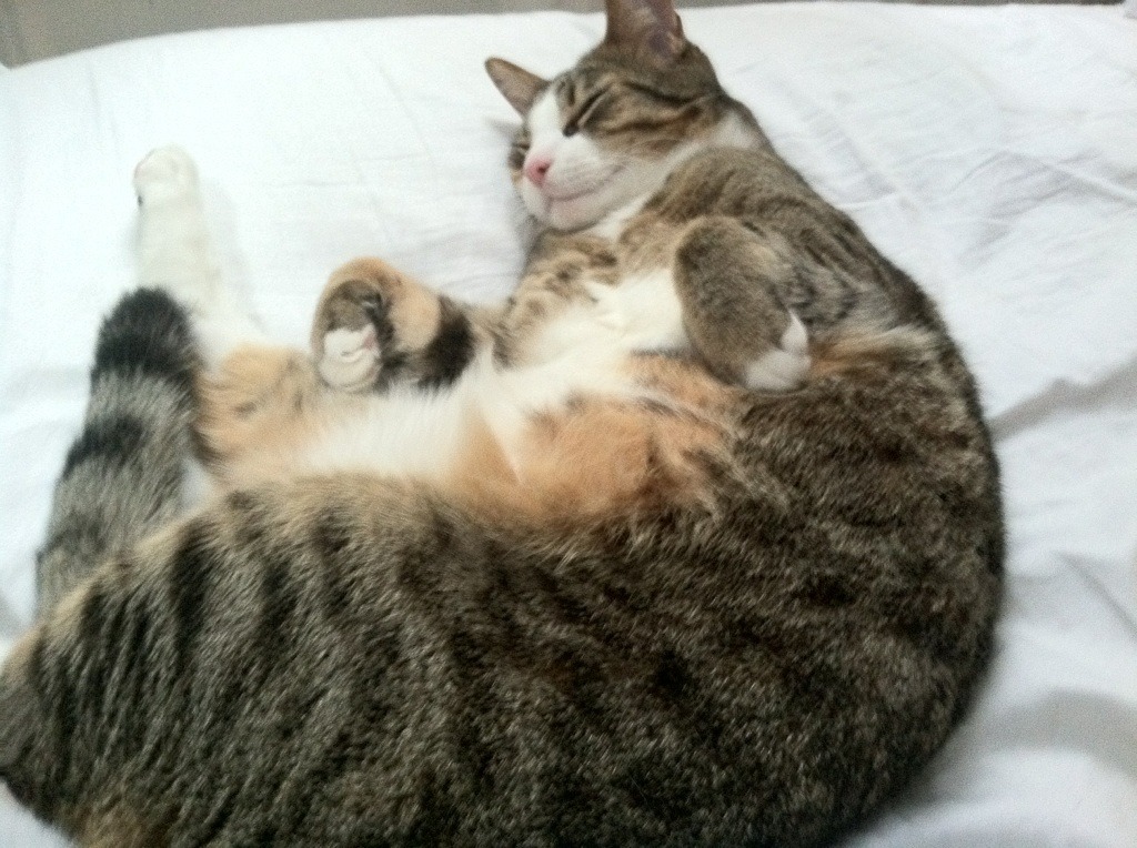 英超激烈角逐，豪门之间争冠白热化